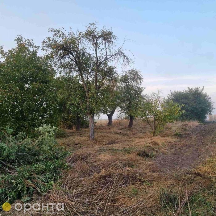 Продаж будинку в с. Малий Ходачків 25сот. землі