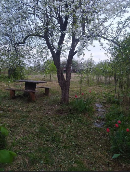 Продам дом в Солоницевском Отг (П.Безруки)