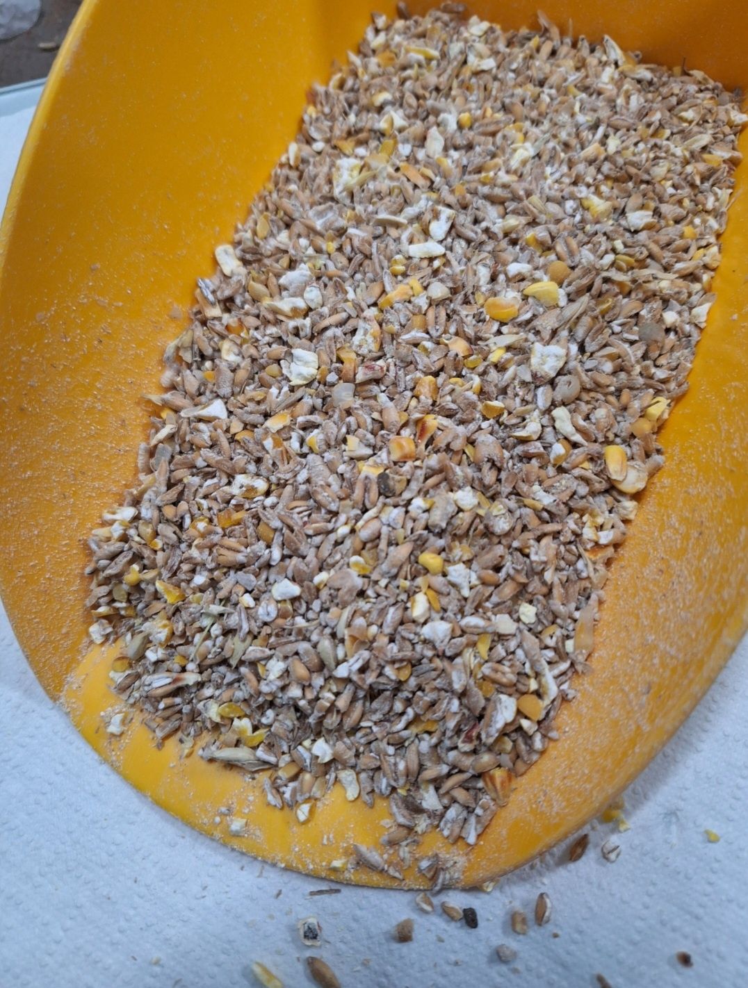 Naturalna Mieszanka Dla Kur Niosek 25kg BEZ GMO