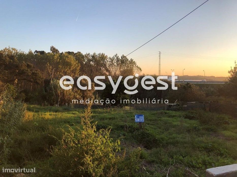 Terreno para construção do centro de Oliveira do Bairro