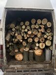 Спил аварийных деревьев