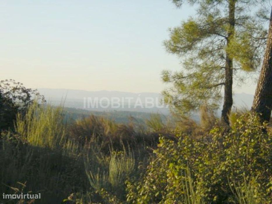 Pouco mais de um hectare de terreno com belas vistas para a montanh...