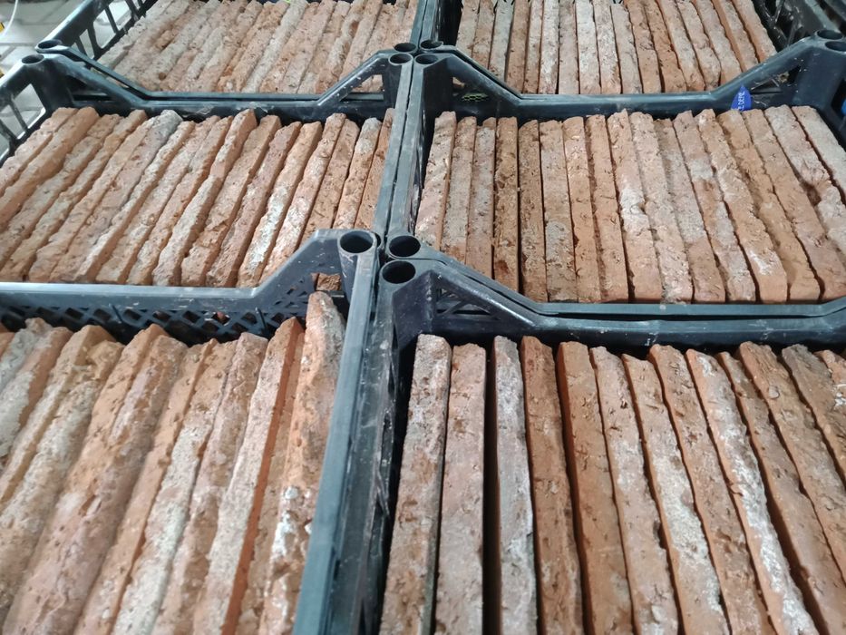 Płytki z cegły, ceglana ściana, stary mur, płytki ceglane, stara cegła