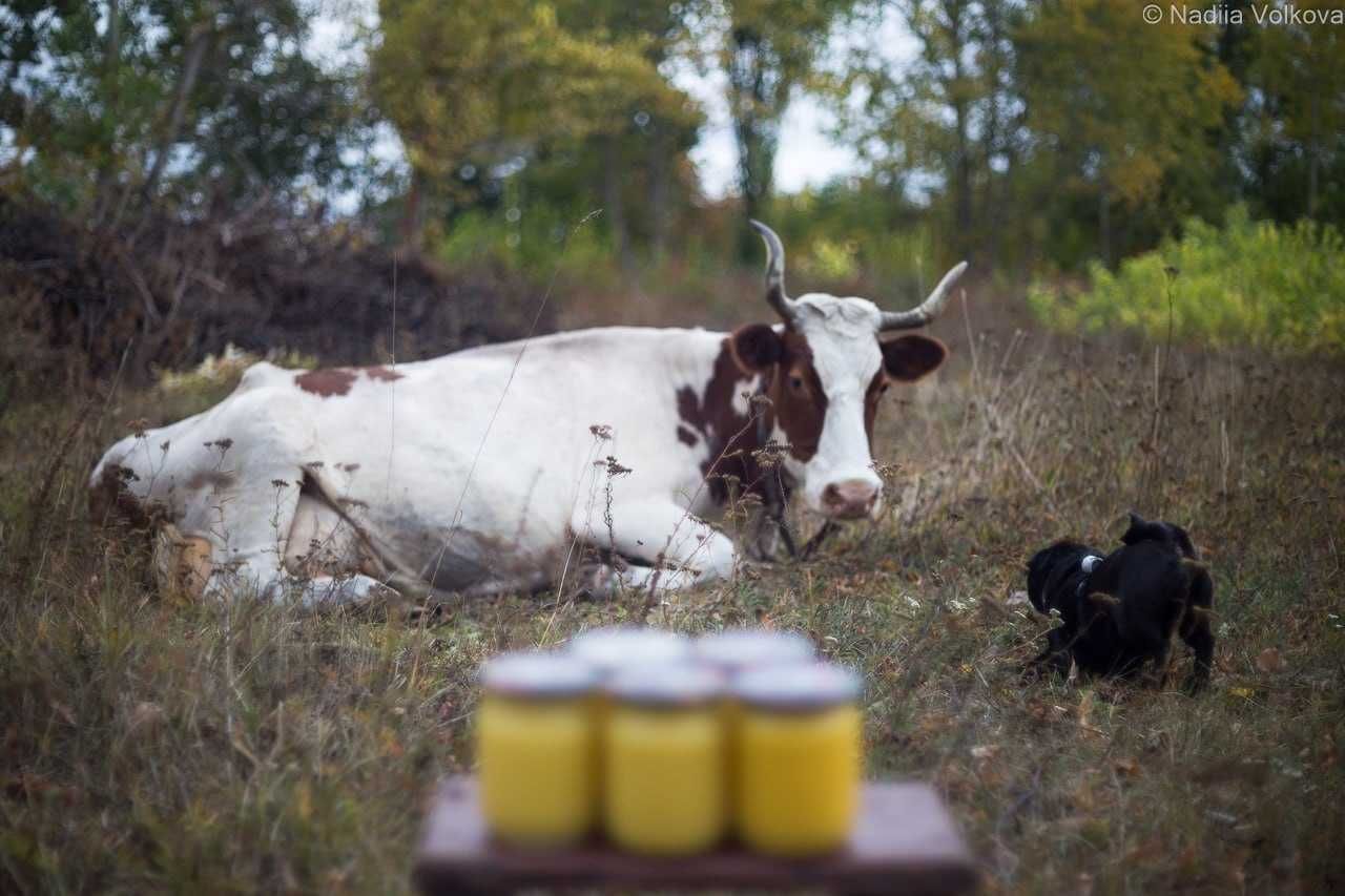 Масло ГХІ, масло Бет Нуазет.