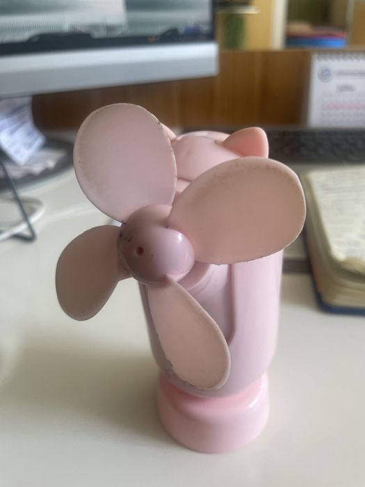 Ventoinha pequena
