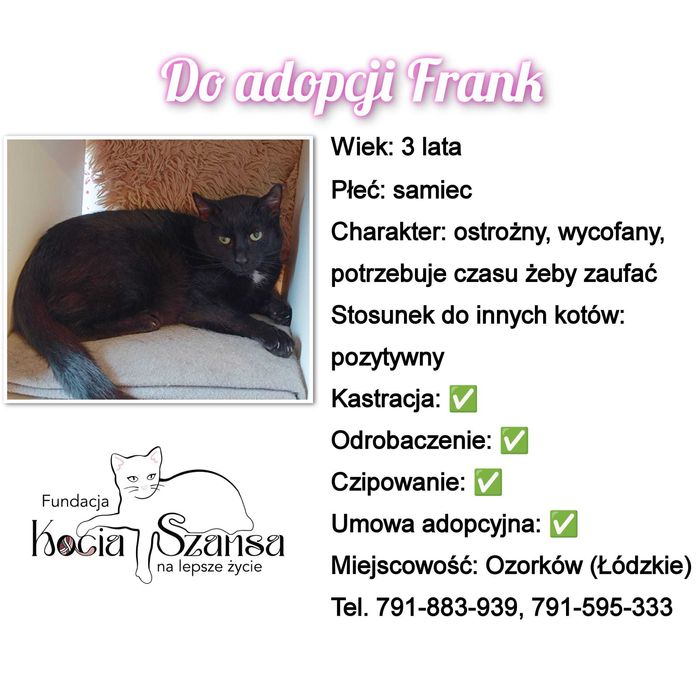 kocur franek fundacja ostatnia szansa aktualne