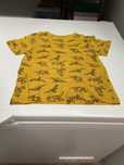 Tshirt de menino tamanho 5/6 anos