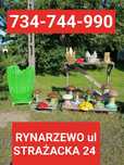 Donice i doniczki