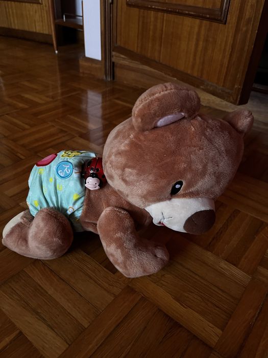 Baby Teddy gatinha comigo