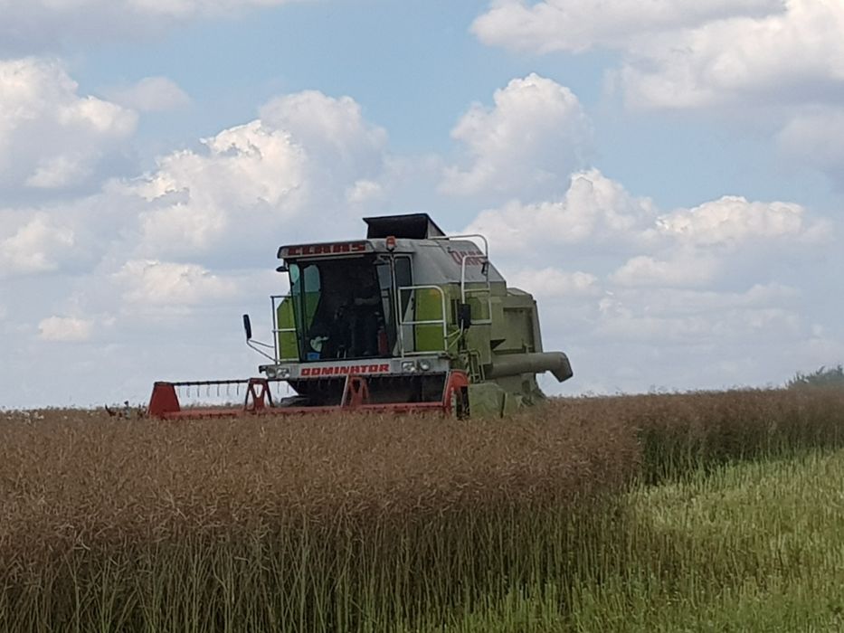 Claas Dominator 88s + stół do rzepaku