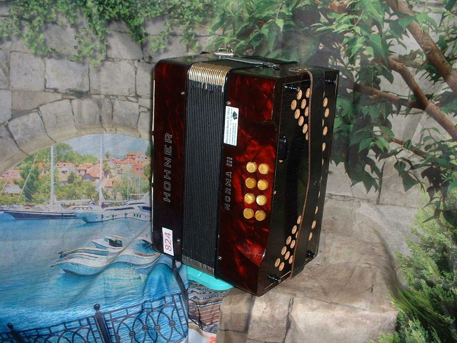 Concertinas a venda N.824