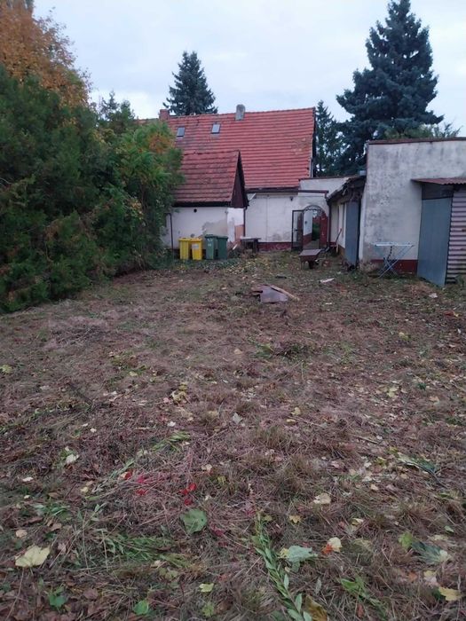 Koszenie traw,wycinki,glebogryzarki