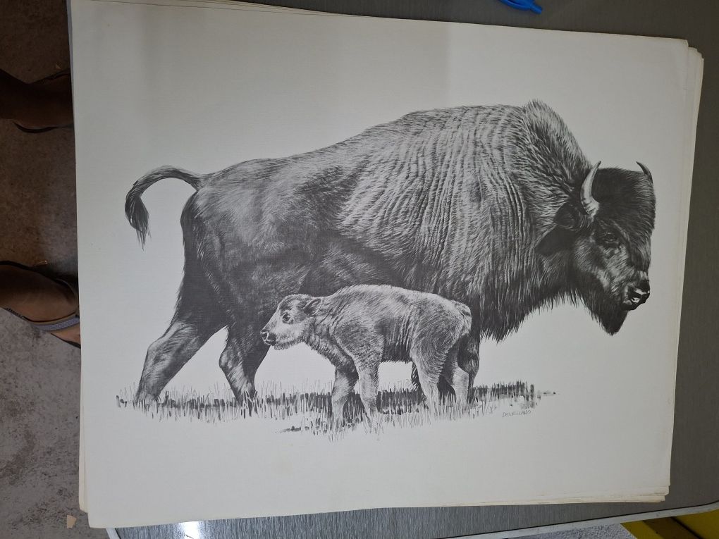 Enorme desenho pintura arte