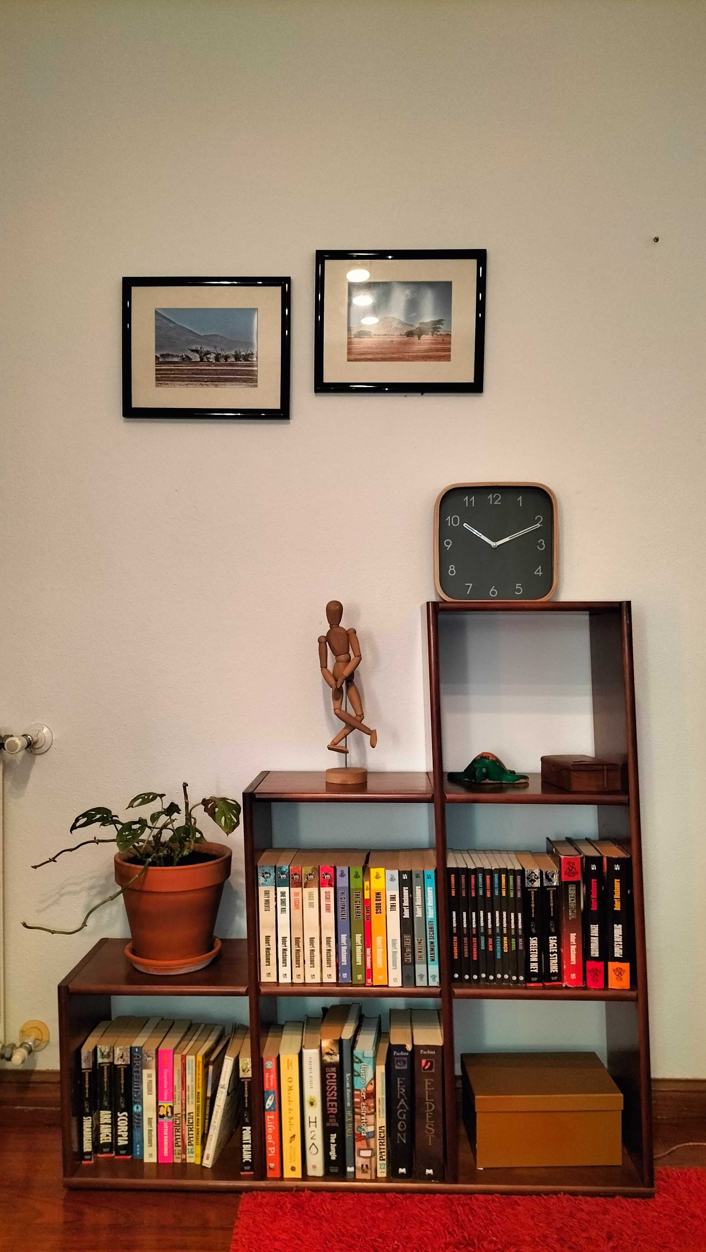 Estante, cubos fixos em escada, madeira maciça (castanho avermelhado)