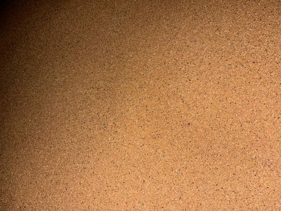 Sprzedam proso żółte