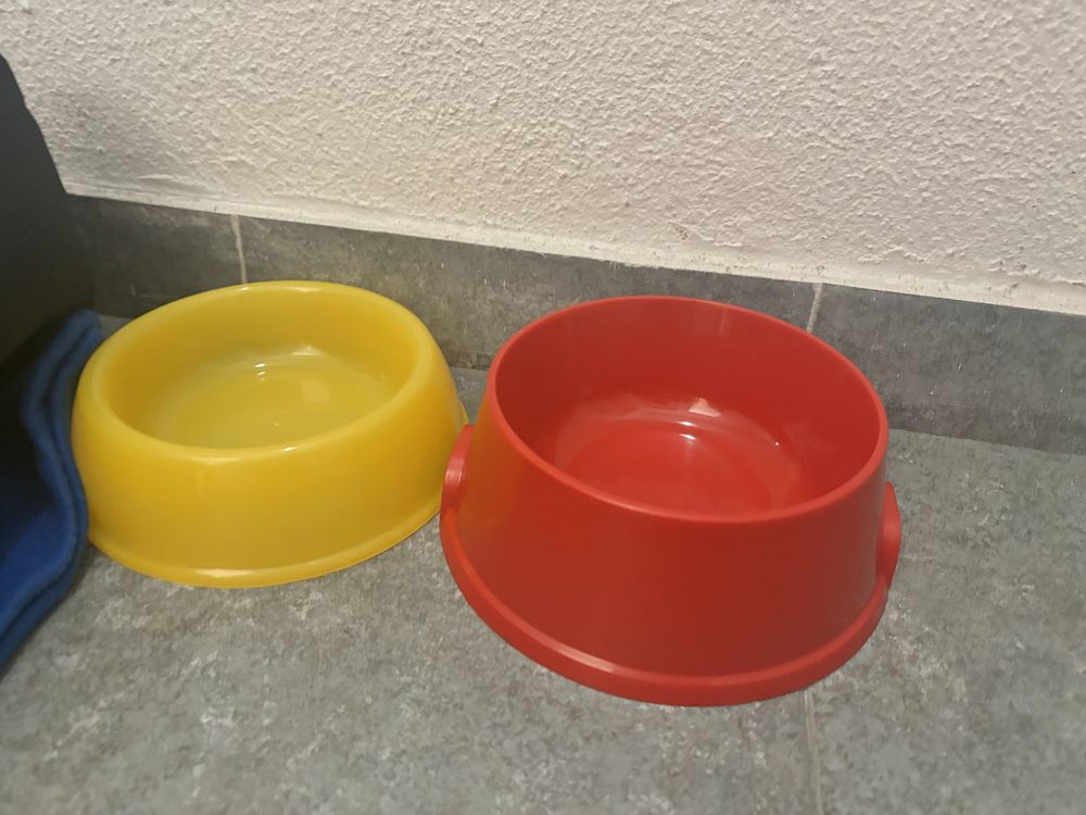 Cama e recipientes  para animais