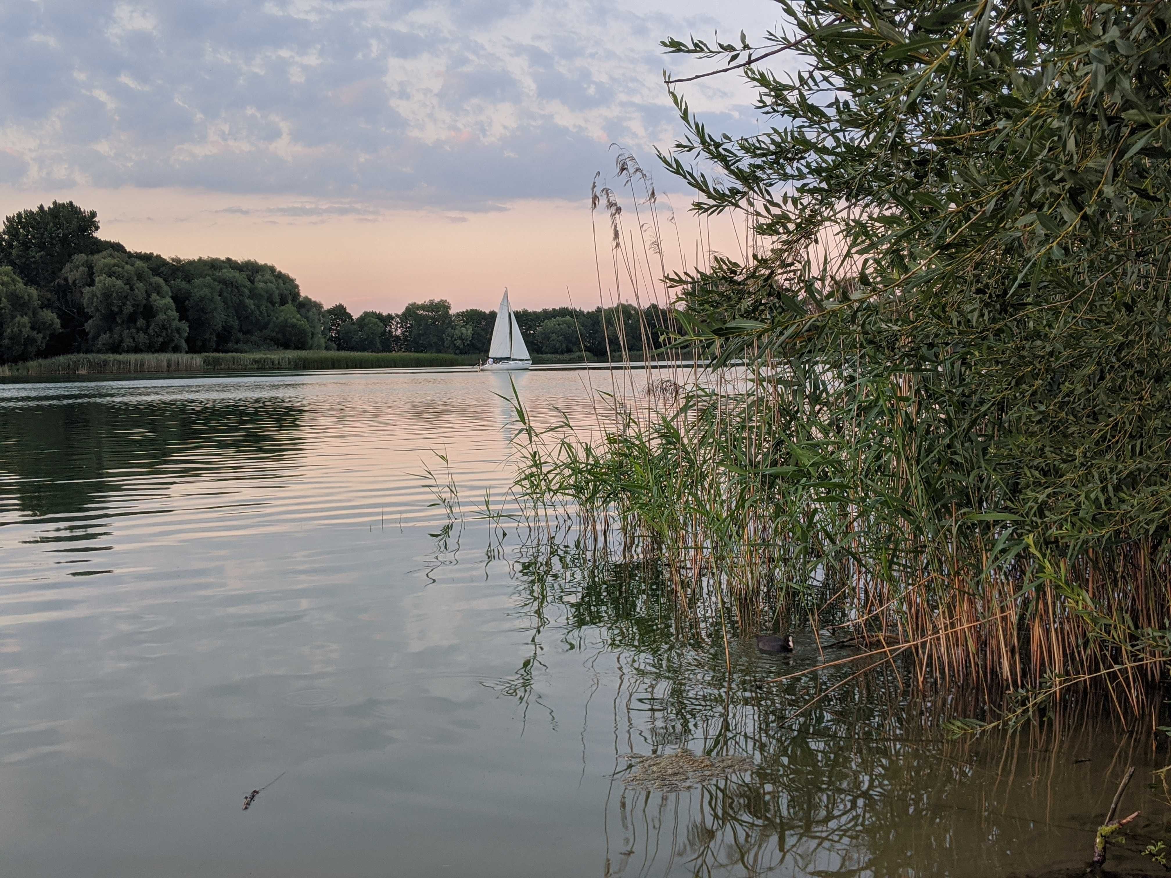 Dom villa z basenem nad jeziorem Chełmżyńskim