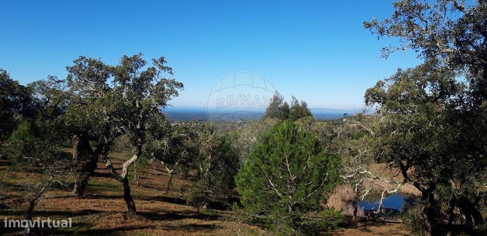 Terreno  para venda