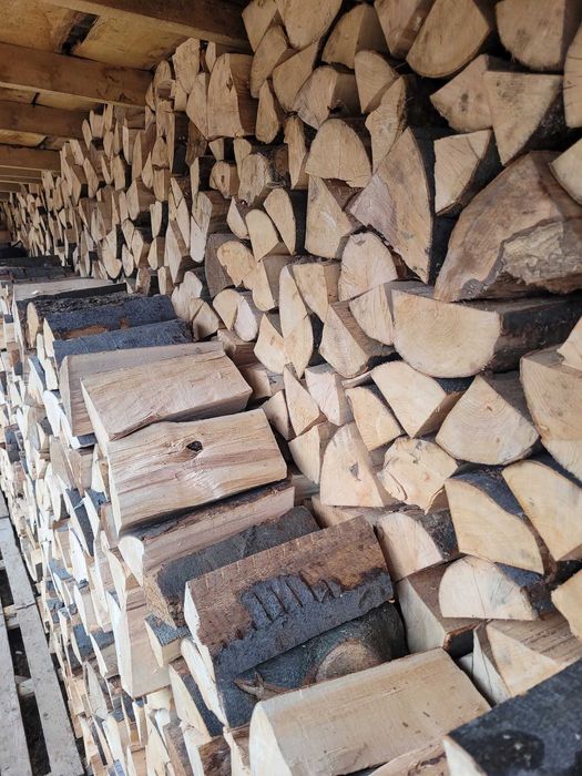 Drewno opałowe  Dąb lub BUK