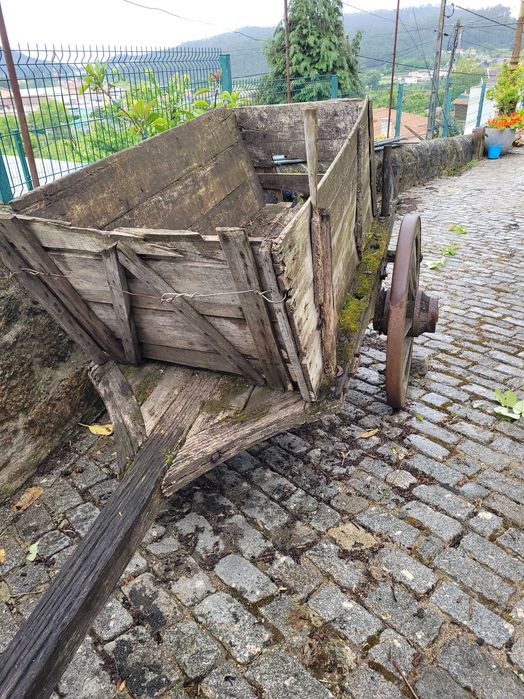 Carroça de bois antiga⁸