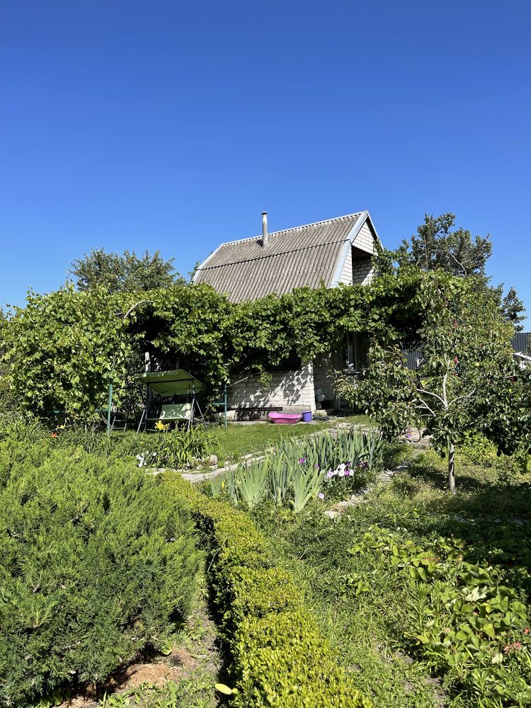 Продаж Дачі СТ «Мрія» Куліші