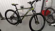 Rower Northec Viking 29"
