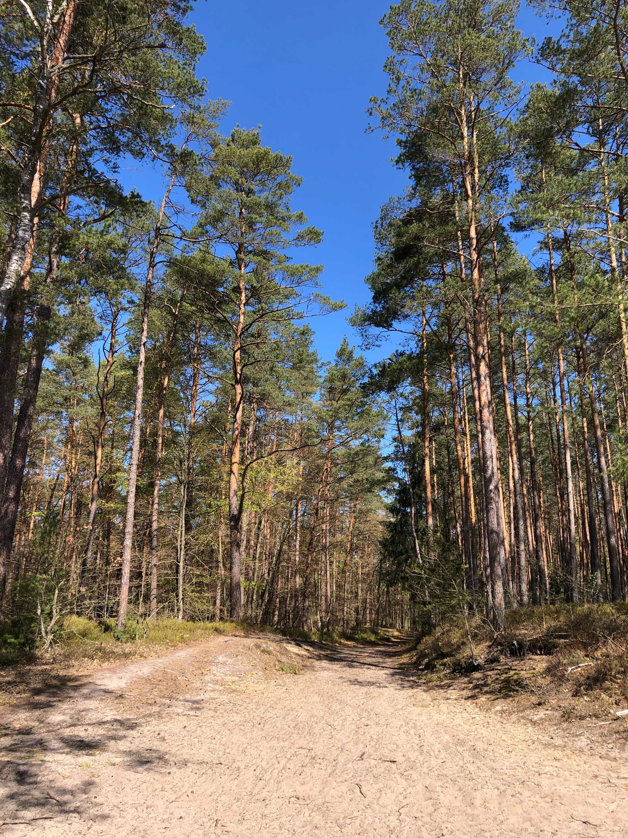 Stegna Domki i pokoje "PRZY GDAŃSKIEJ" domek nad morzem