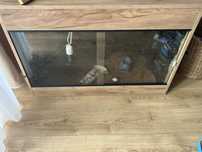 Terrarium jaszczurka gekon lamparci