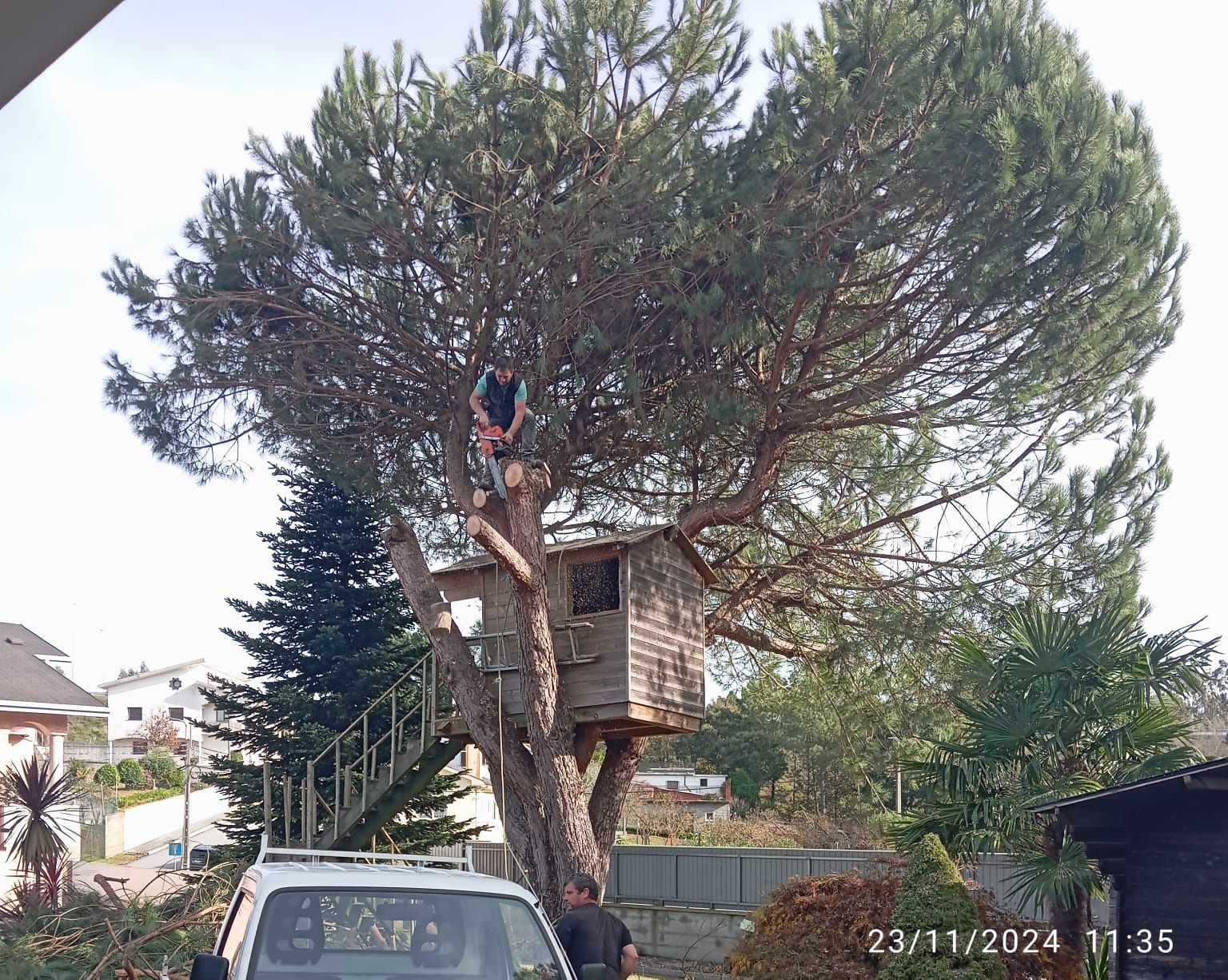 Corte, poda e abate de árvores