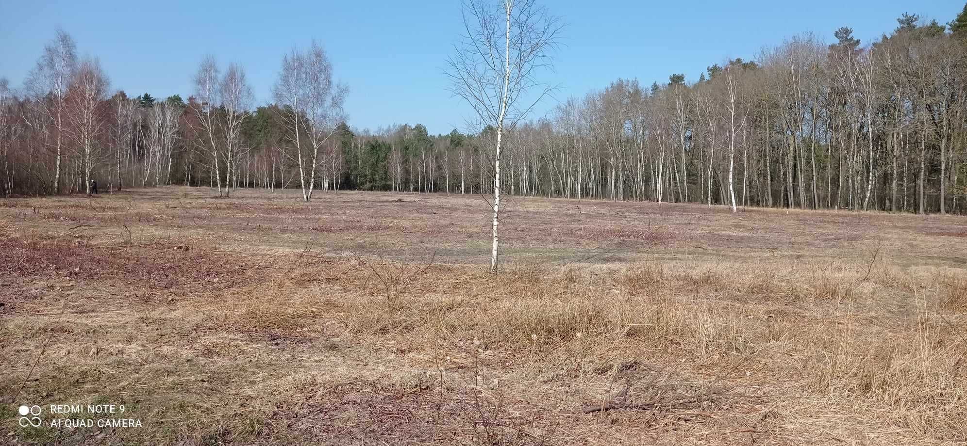 Działka Krępsko przy lesie 1540m2 z warunkami zabudowy.