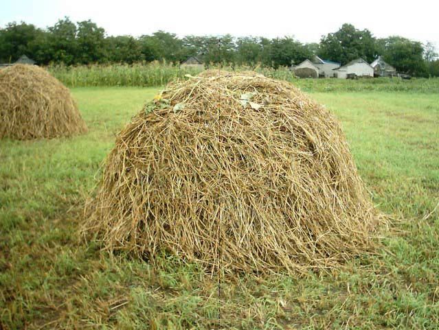 Продам сено солома самовывоз СРОЧНО Верхнеднепровск Сіно