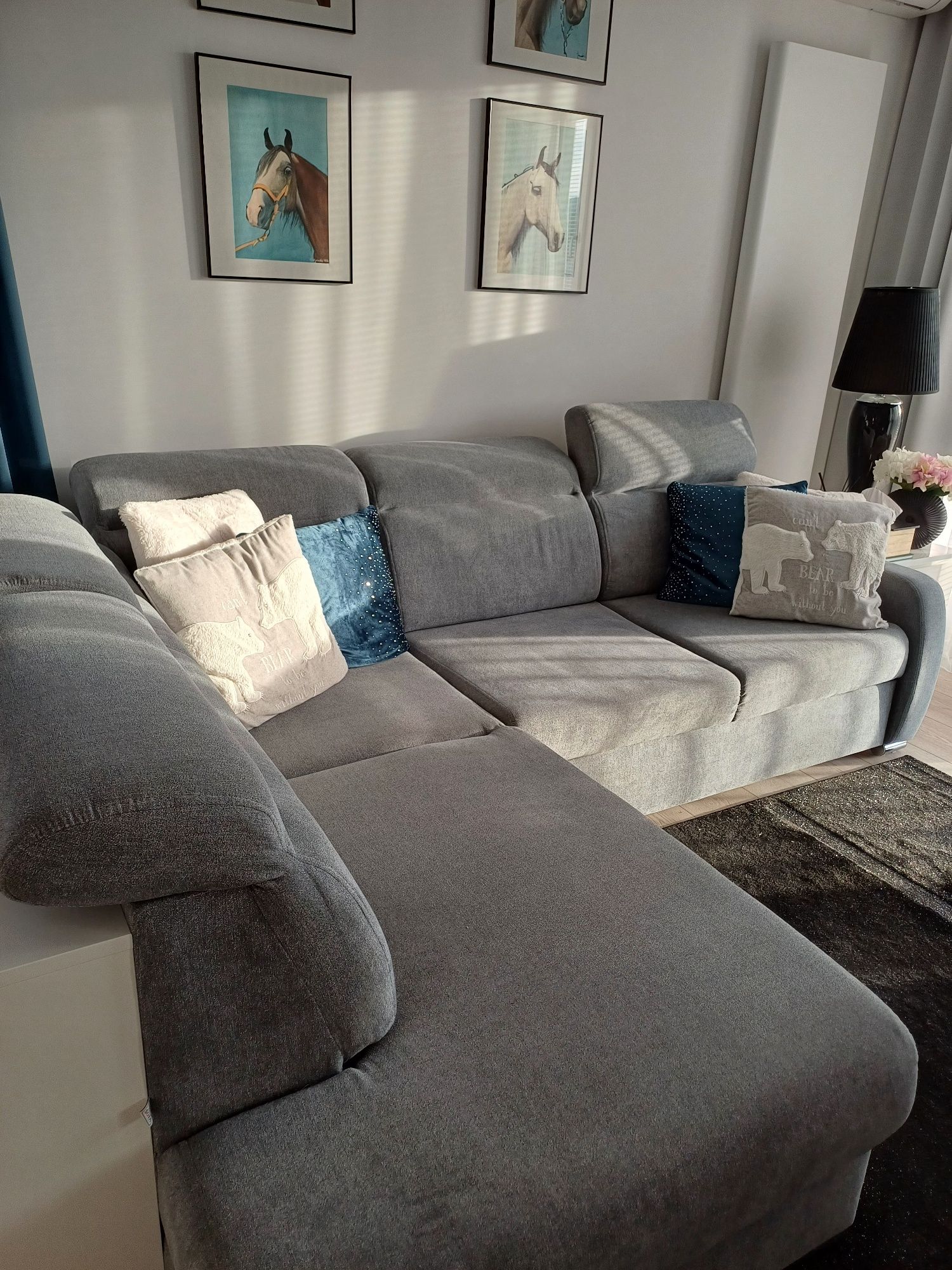 Narożnik lewostronny, sofa