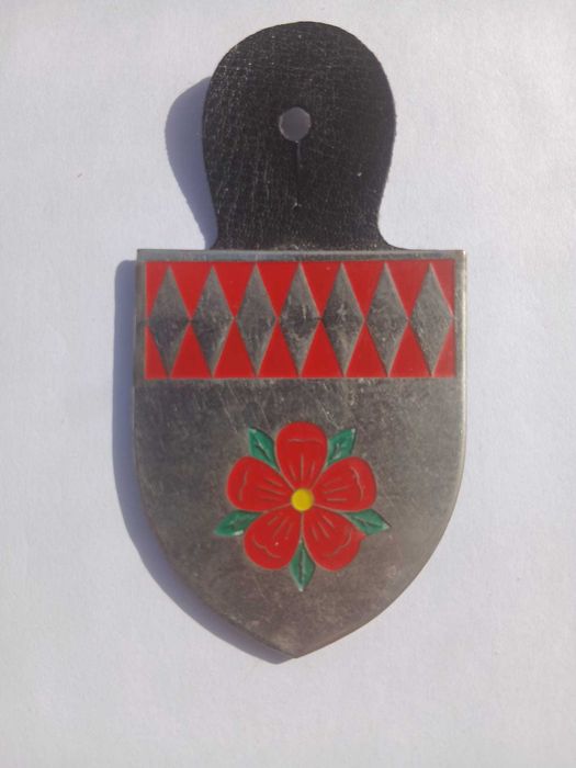 Patchs e crachat de unidades Exército e da Força Aérea