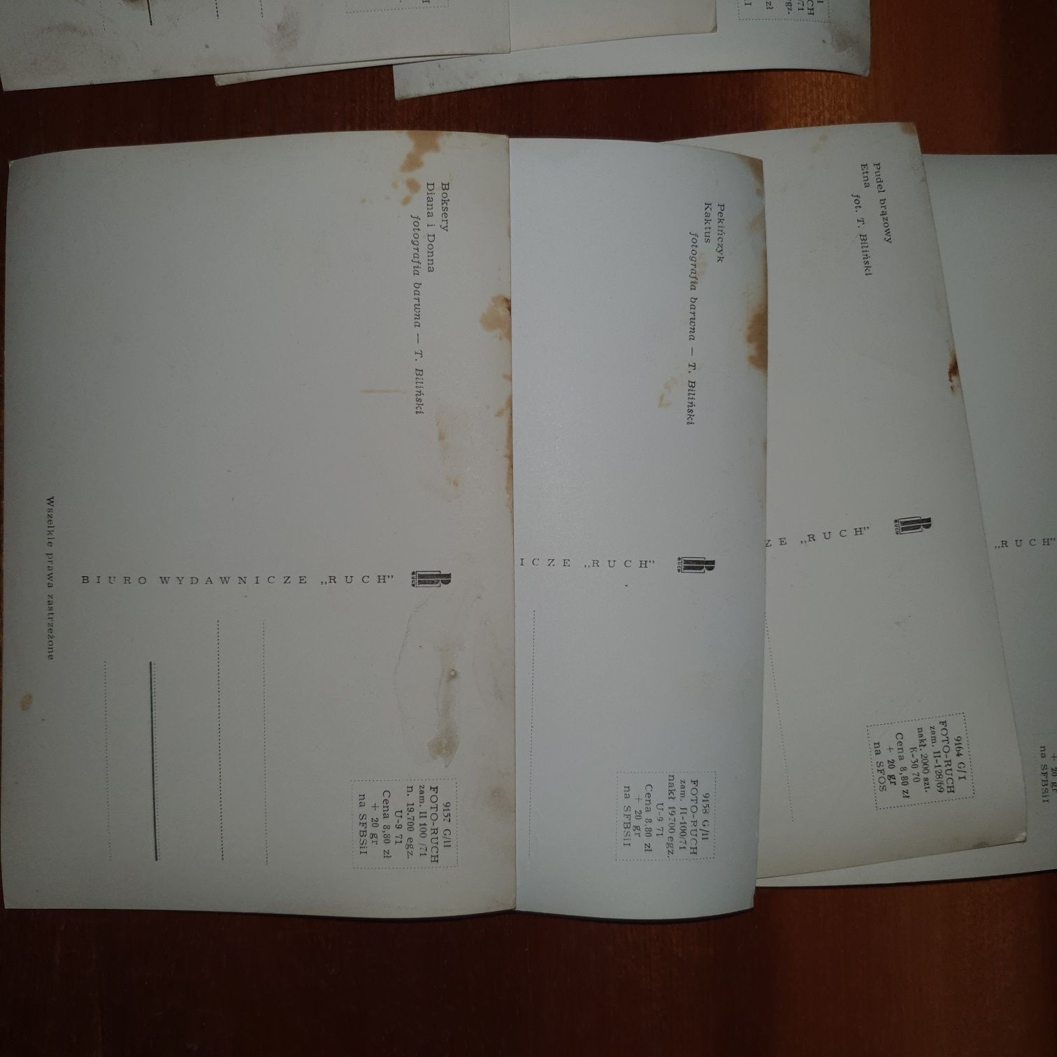 Karty pocztowe psy 1971 r