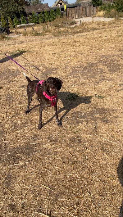 с. Витачів 25 сот. м. Київ  40 км