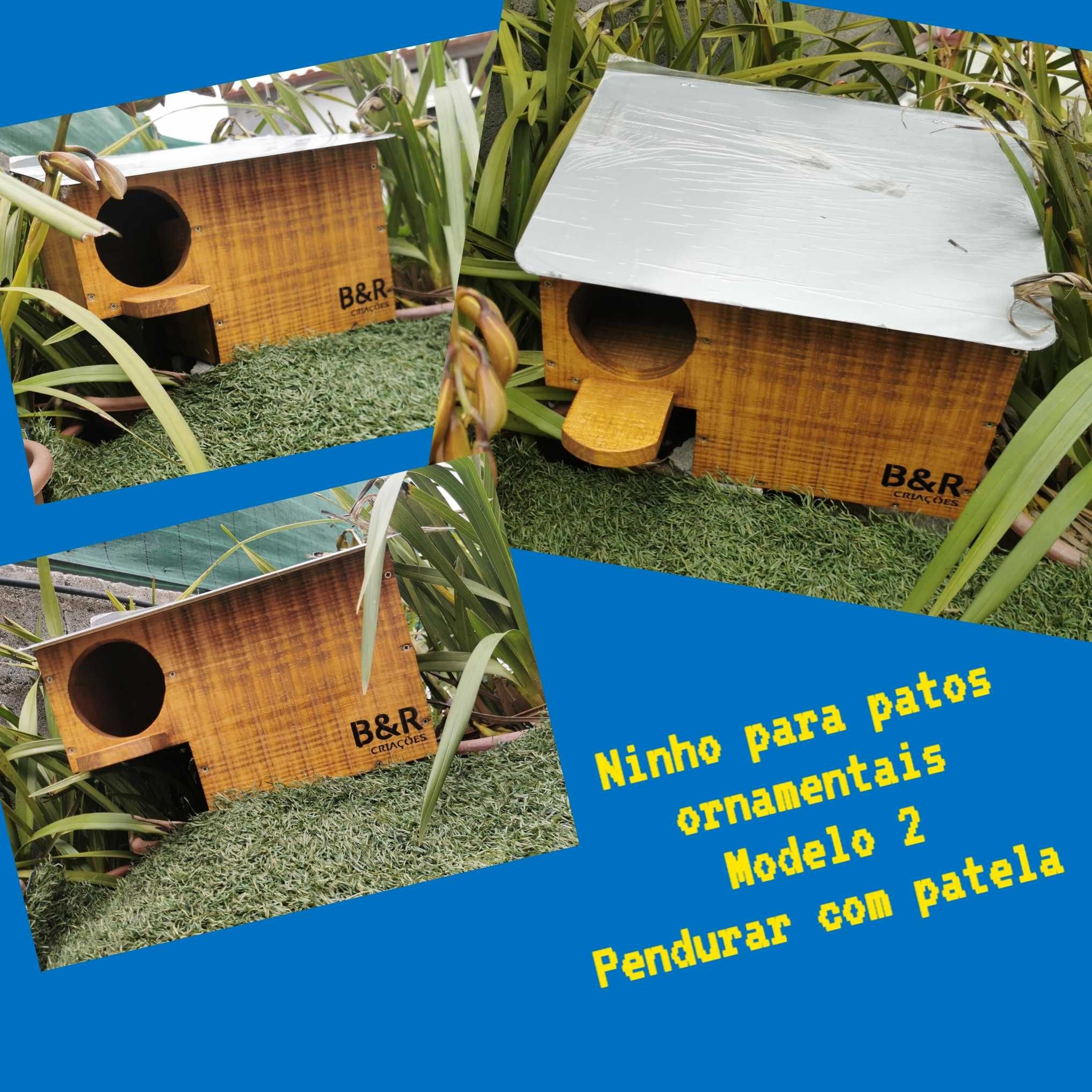 Ninhos para patos ornamentais