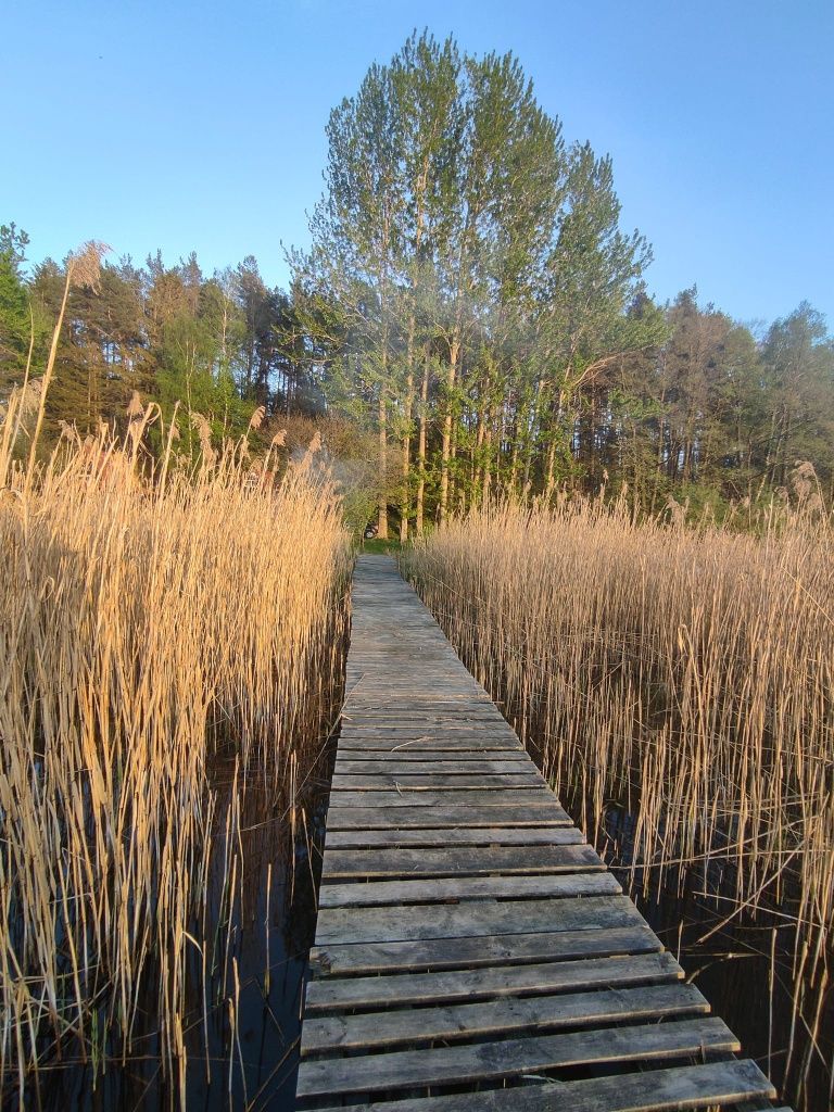 Domek nad jeziorem na Kaszubach