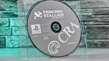 Chocobo Stallion Final Fantasy