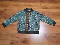 bluza Coccodrillo 116