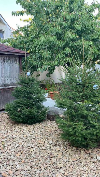 Продам дом в Червоном хуторе.