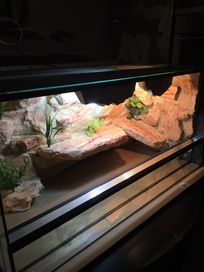 Terrarium 80x40x40 nowe agama wąż gekon