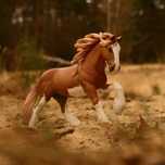 Custom ogier shire schleich 2014, konie schleich