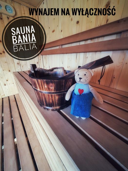 Dom do wynajęcia sauna bania jacuzzi basen na wyłączność, pod lasem