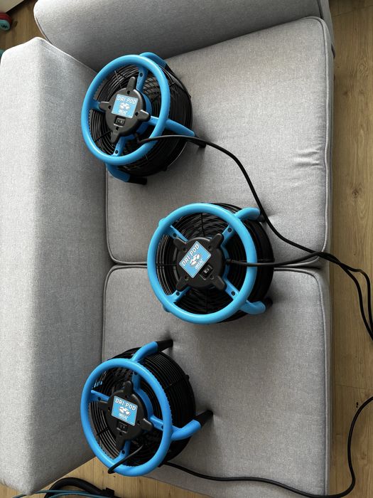 Profesjonalne pranie tapicerki meblowej i wykładzin Pralnia Dywanów