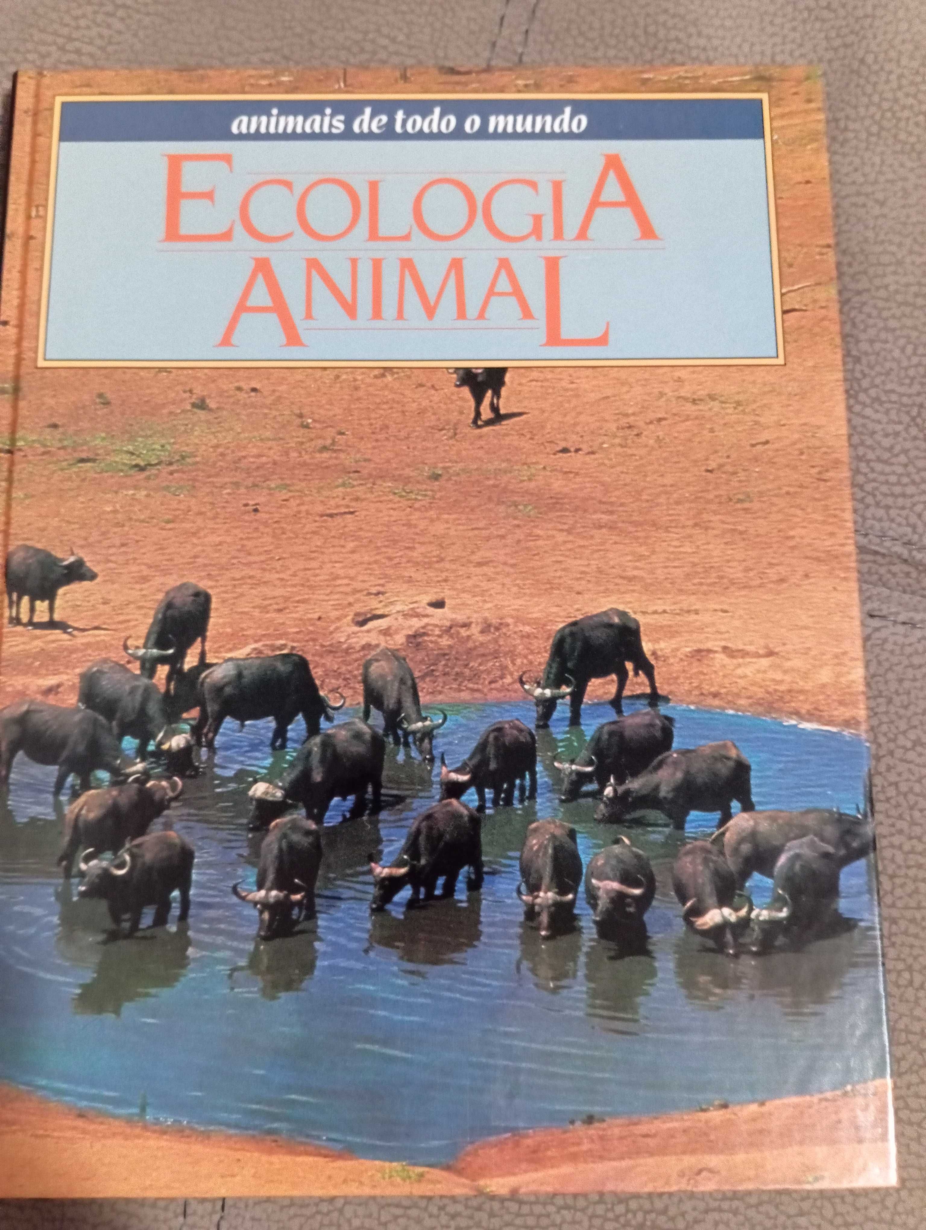 Enciclopédia de 12 livros sobre animais de todo o mundo