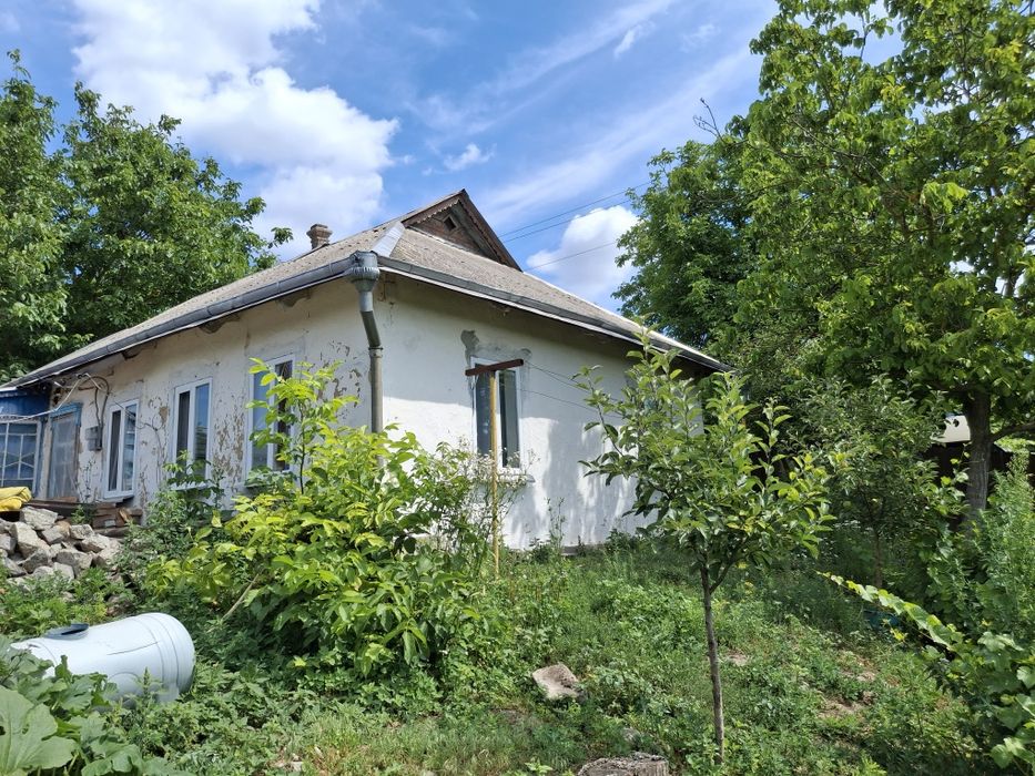 С. Семенівка продаж будинку з земельною ділянкою