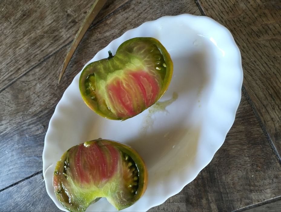 Набір насіння томатів колекційних