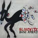 cd - slivovitz - bani ahead