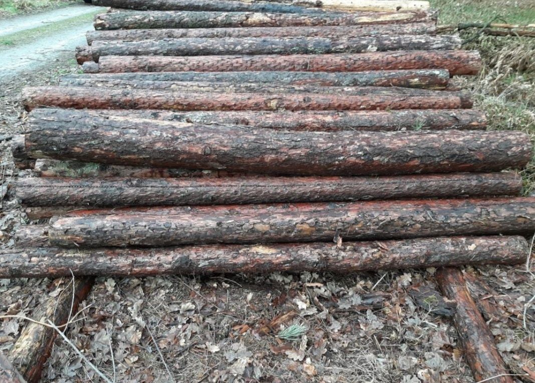 Komplet ogrodzenie z siatki leśnej słupki stemple budowlane tymczasowe