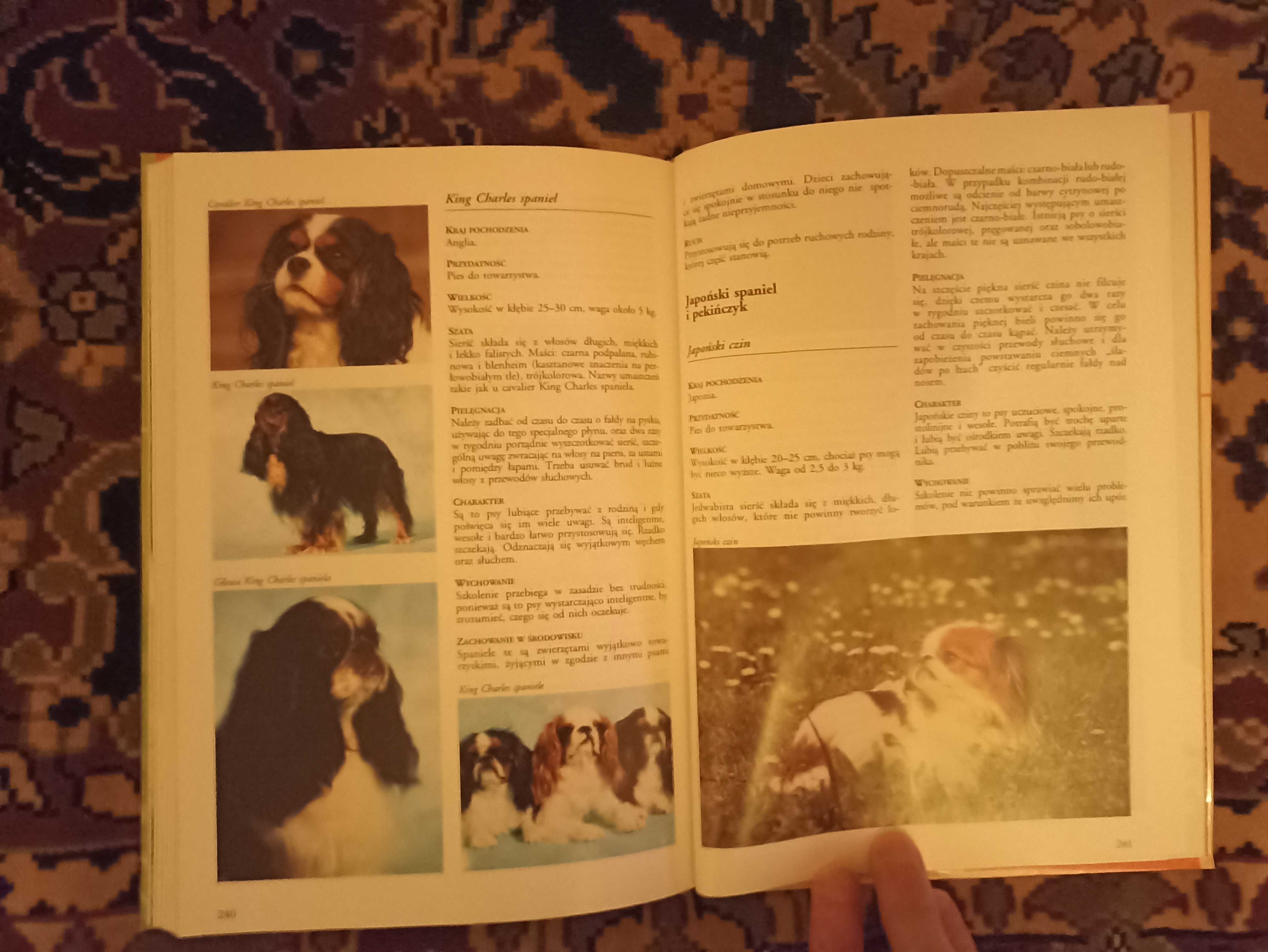 Książka "Encyklopedia psów"